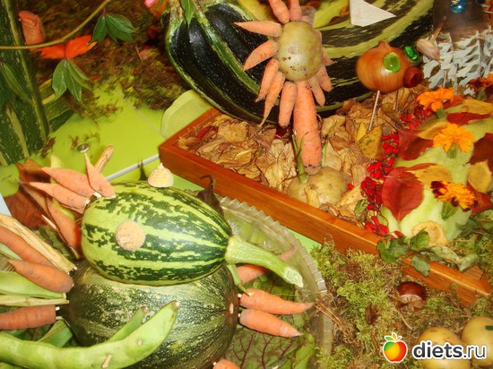 19 ����: ���� �����