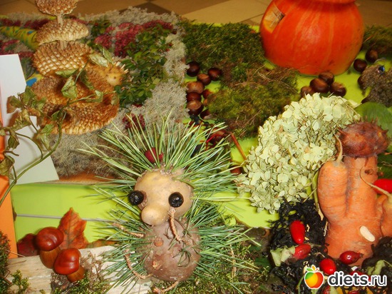 26 ����: ���� �����