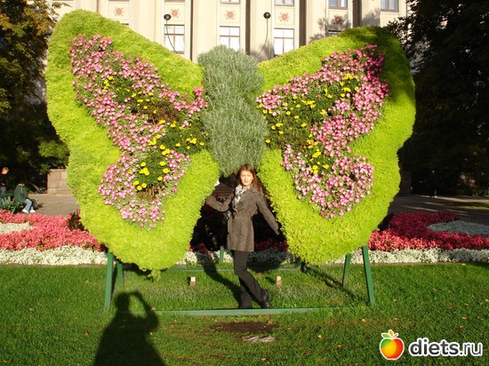 ��������� �����. ������� ������., ������: �����������