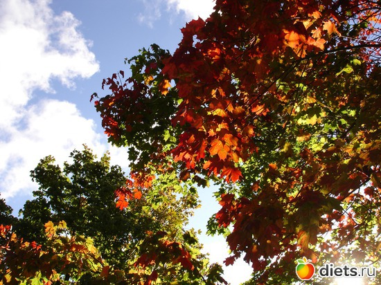 ����� � ����., ������: �����������