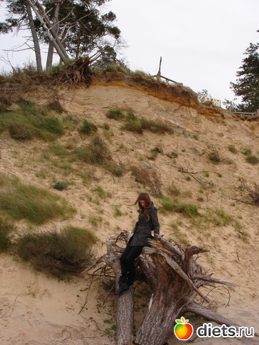 ������., ������: �����������