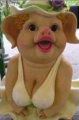 ������������ �� ��������!