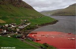 Красное море Дании