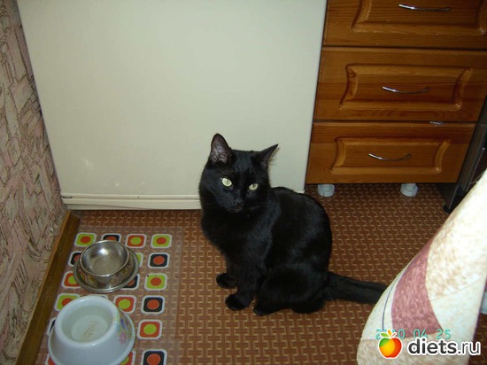 ��, � �� �� �� �����!, ������: ���� � ����