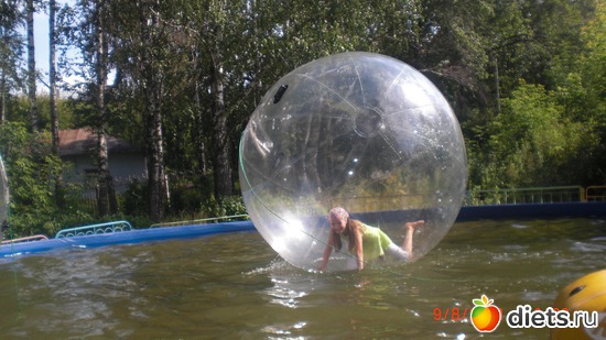 15 ����: ���� 2011