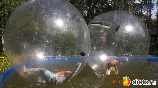 18 ����: ���� 2011