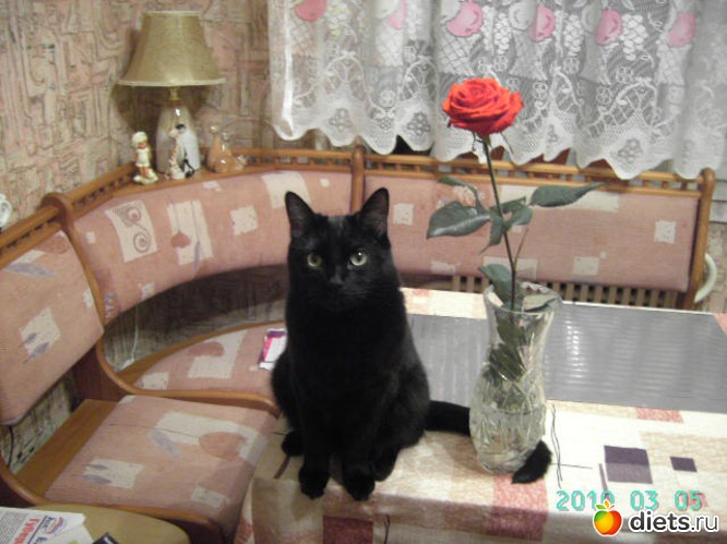 �������., ������: ���� � ����