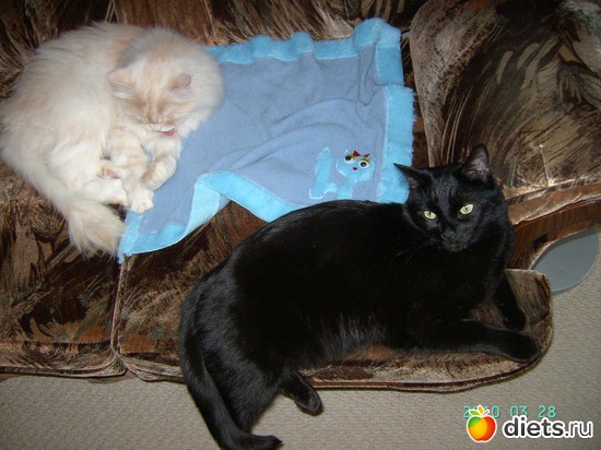 ���� � ����., ������: ���� � ����