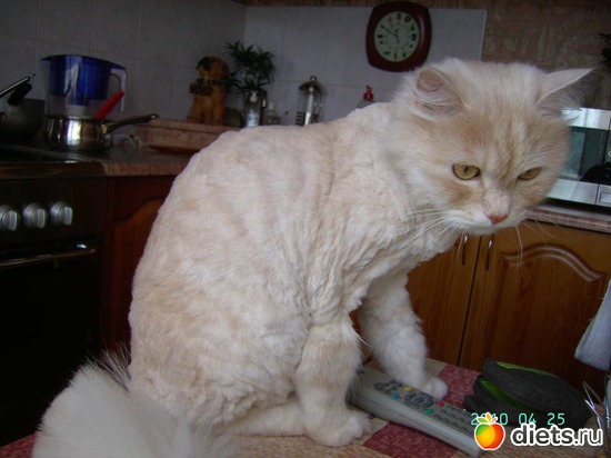 ����� �������., ������: ���� � ����