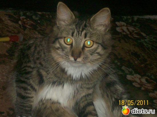 1 ����: ��� ������