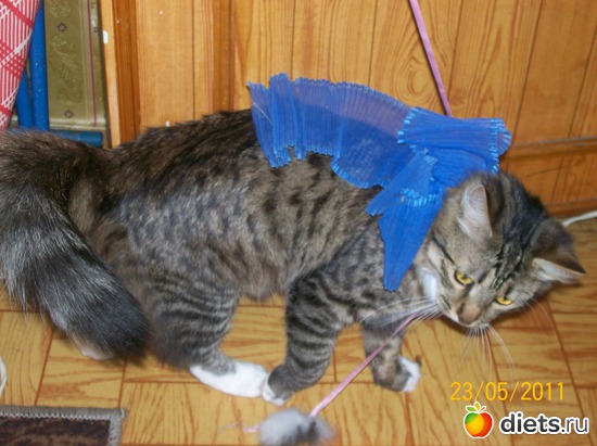 2 ����: ��� ������