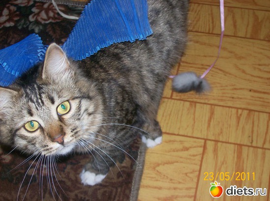 3 ����: ��� ������