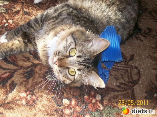 4 ����: ��� ������