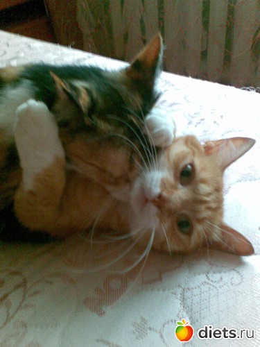 9 фото: Мои любимые девочки