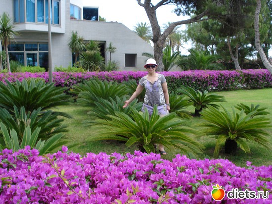 � �����, ������: ������ - 2010�.