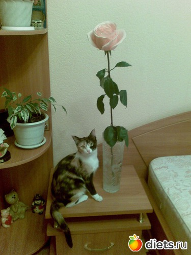 6 фото: Мои любимые девочки