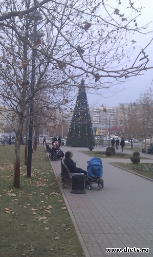 &amp;#203;��� 2011-2012 (1), ������: ���������