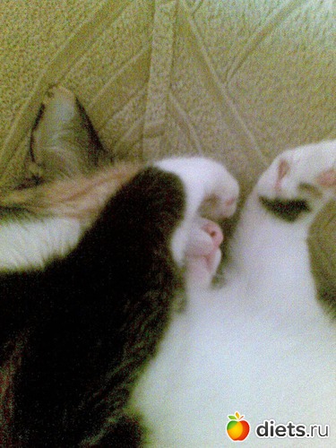 4 фото: Мои любимые девочки