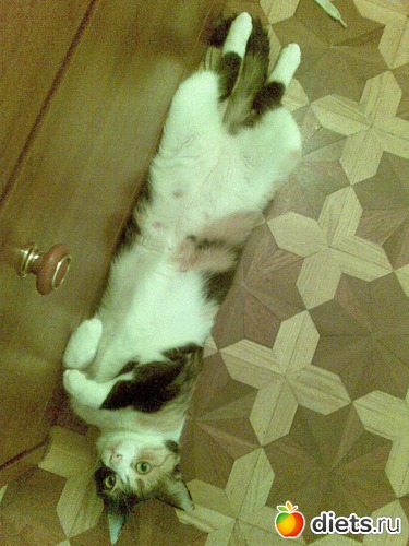 2 фото: Мои любимые девочки