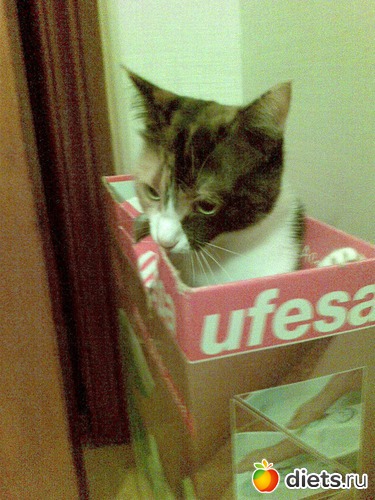 5 фото: Мои любимые девочки