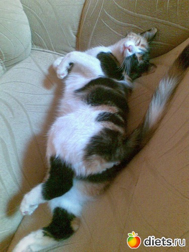 8 фото: Мои любимые девочки