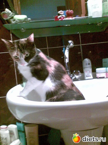 10 фото: Мои любимые девочки