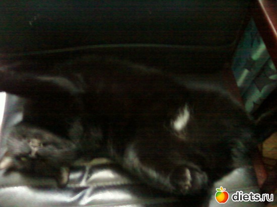 ����������� ������, ������: ����