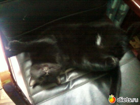 � ������� �� ����������, ������: ����