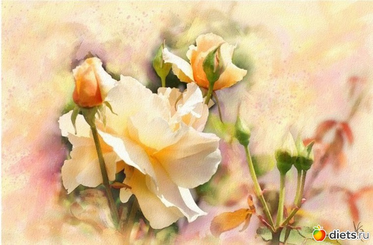 4 фото: Цветы из акварели Alberto Guillen