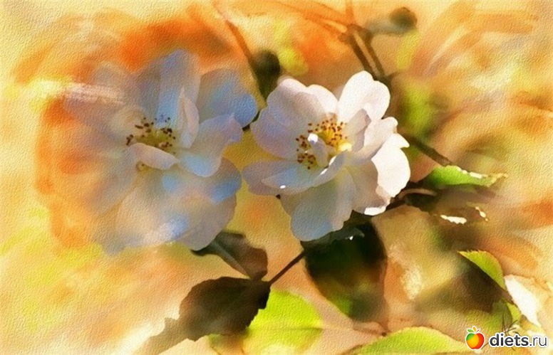 5 :    Alberto Guillen