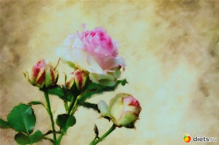 7 фото: Цветы из акварели Alberto Guillen