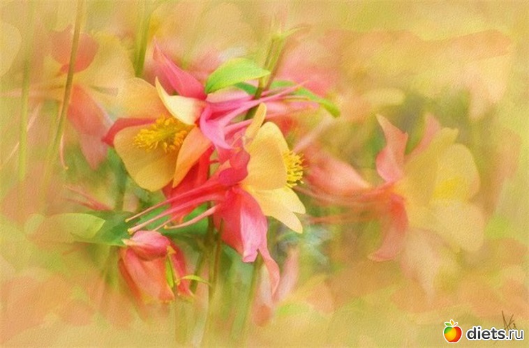 8 :    Alberto Guillen