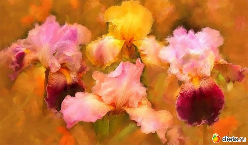 10 :    Alberto Guillen