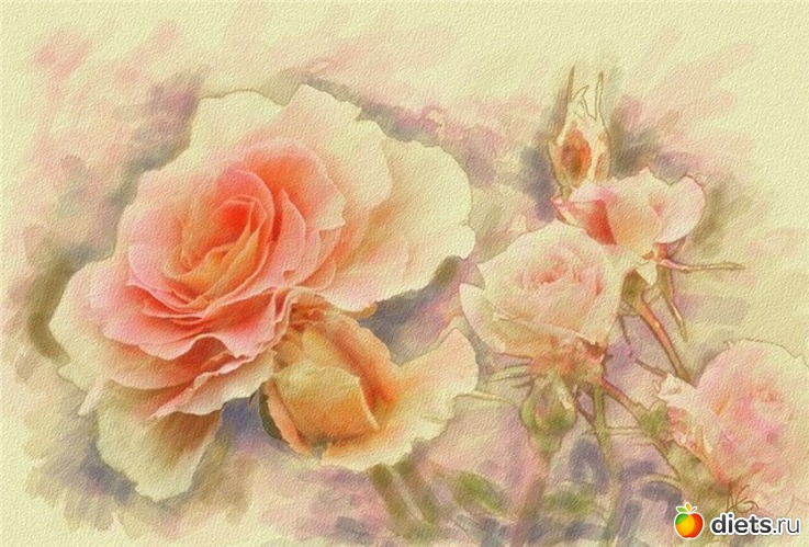 12 :    Alberto Guillen