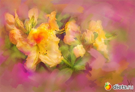 13 :    Alberto Guillen