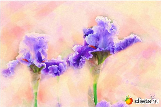 19 фото: Цветы из акварели Alberto Guillen