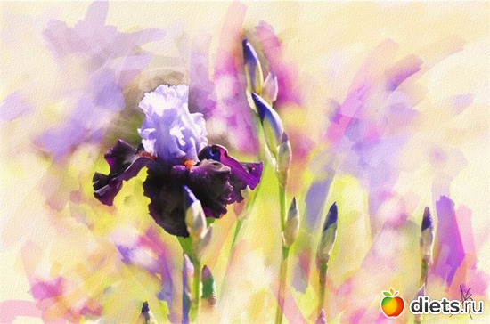 20 :    Alberto Guillen