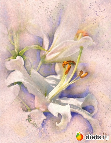 21 :    Alberto Guillen