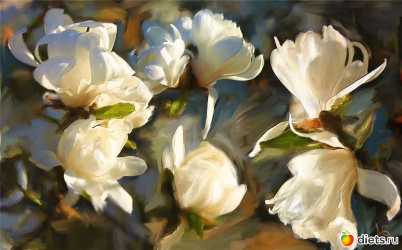 24 фото: Цветы из акварели Alberto Guillen