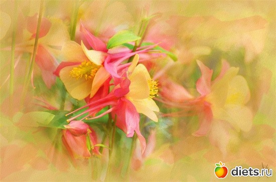 26 :    Alberto Guillen