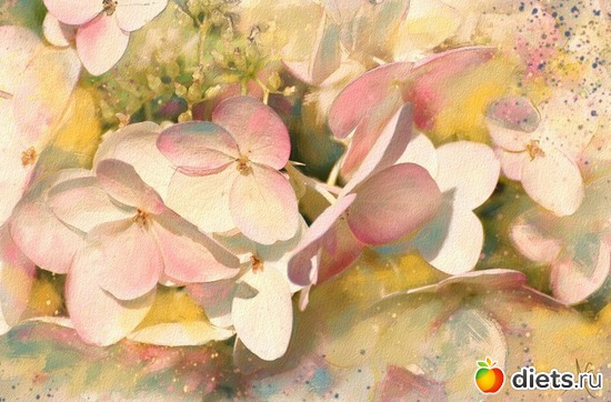 27 фото: Цветы из акварели Alberto Guillen