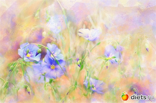 29 фото: Цветы из акварели Alberto Guillen