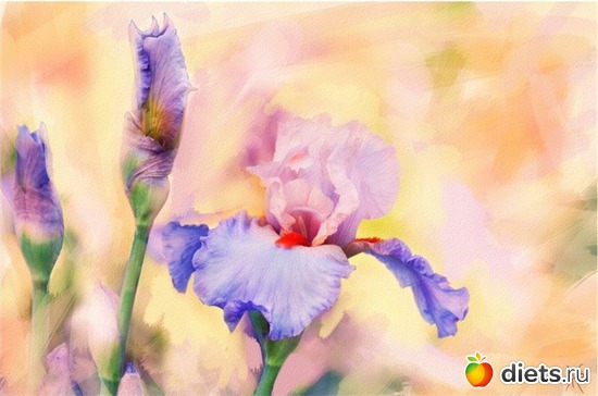 32 :    Alberto Guillen