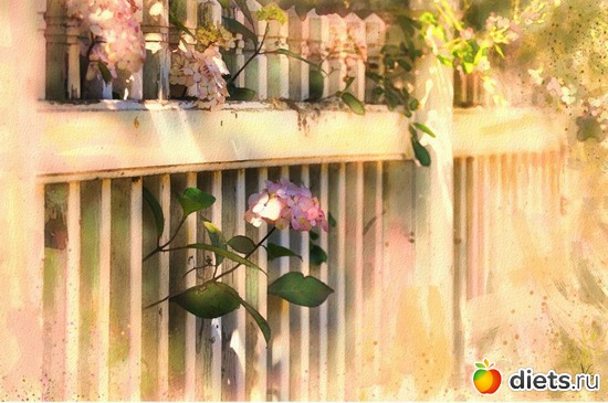 33 :    Alberto Guillen