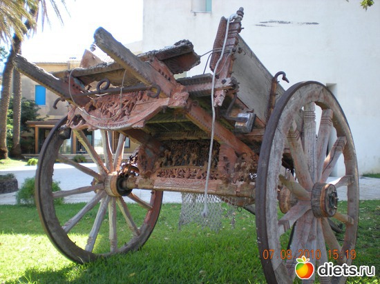 40 ����: ��� � ����