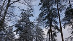 Вернулась! Отдохнувшая, постройневшая и... ОЧЕНЬ СЧАСТЛИВАЯ! Много фото))))