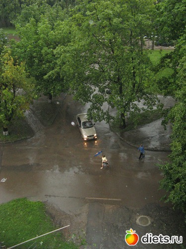 33 фото: Фото