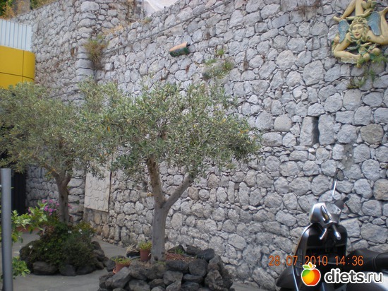 28 ����: ��� � ����