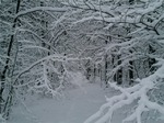 Четвертый месяц. Планы.