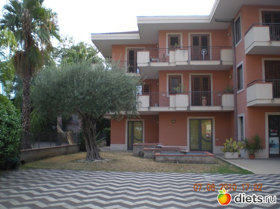 37 ����: ��� � ����